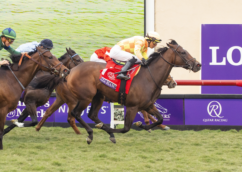 Pizza Bianca Cooks Up First Breeders’ Cup Win for Clement in Juvenile